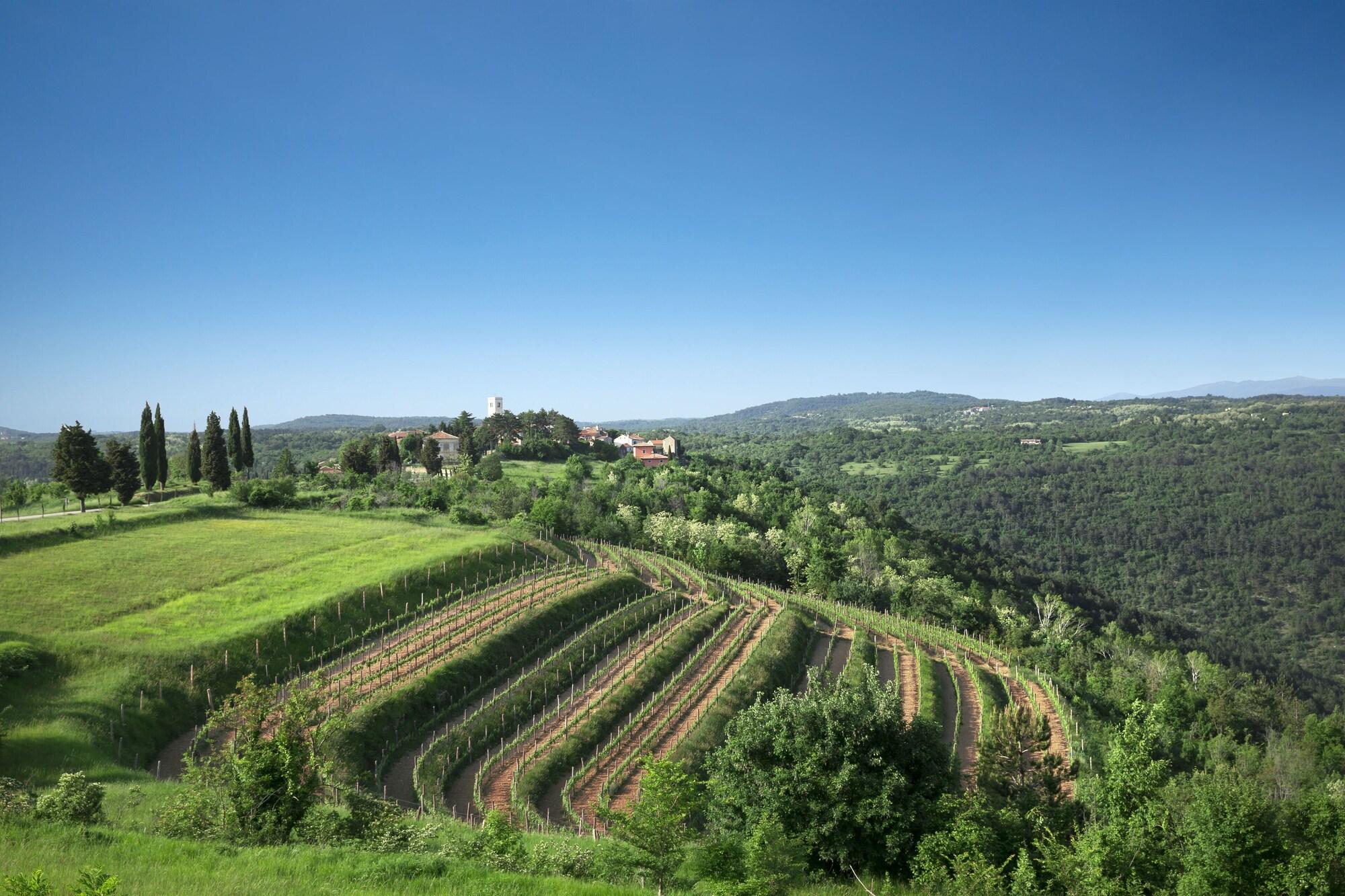 Palazzo Angelica B&B Adults Only Oprtalj Экстерьер фото